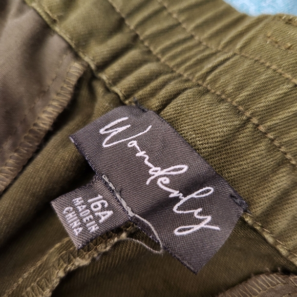 NWT Wonderly Green Pants with Elastic Back Waistband Size 16A - Picture 2 of 5